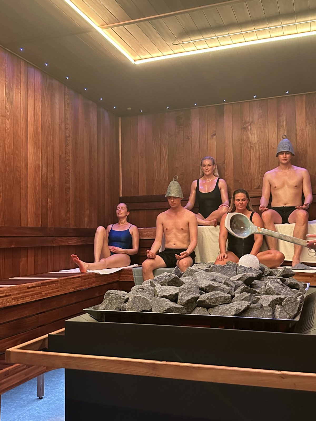 Just Sauna Wellness - billede 4